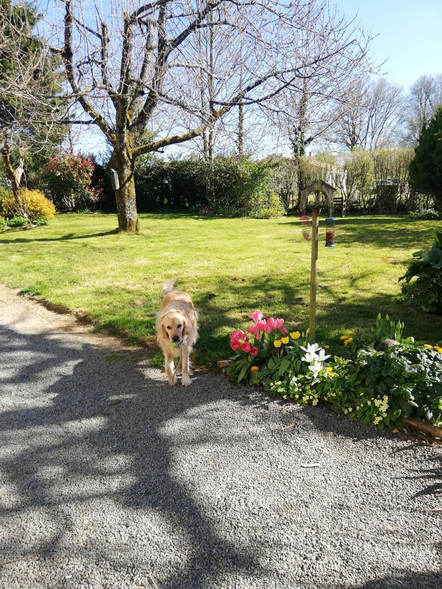 Papillons B&B - Beauty, Comfort And Peace 25 Mins From Puy Du Fou Montournais Buitenkant foto